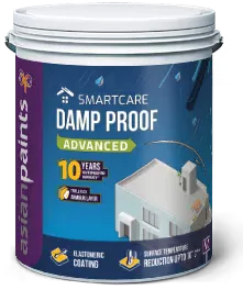 [1665] AP SmartCare Damp Proof ADVANCE 10Y (1 Ltr)